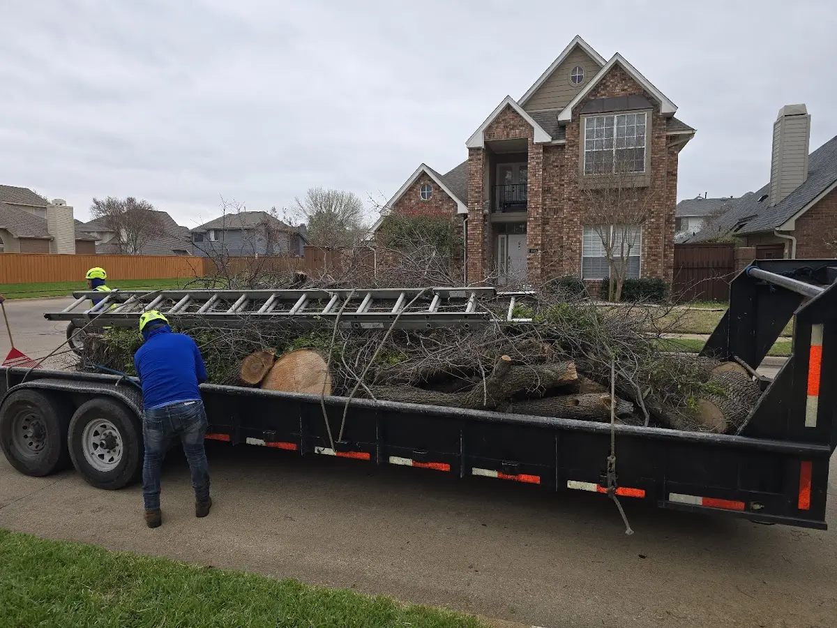Expert Lot Clearing with proper safety equipment in Blountville
